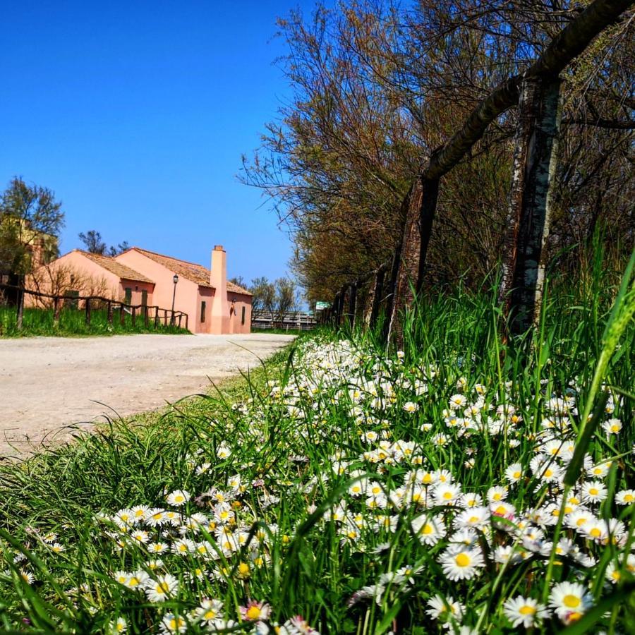 Residenza La Gallinella Comacchio Exteriér fotografie